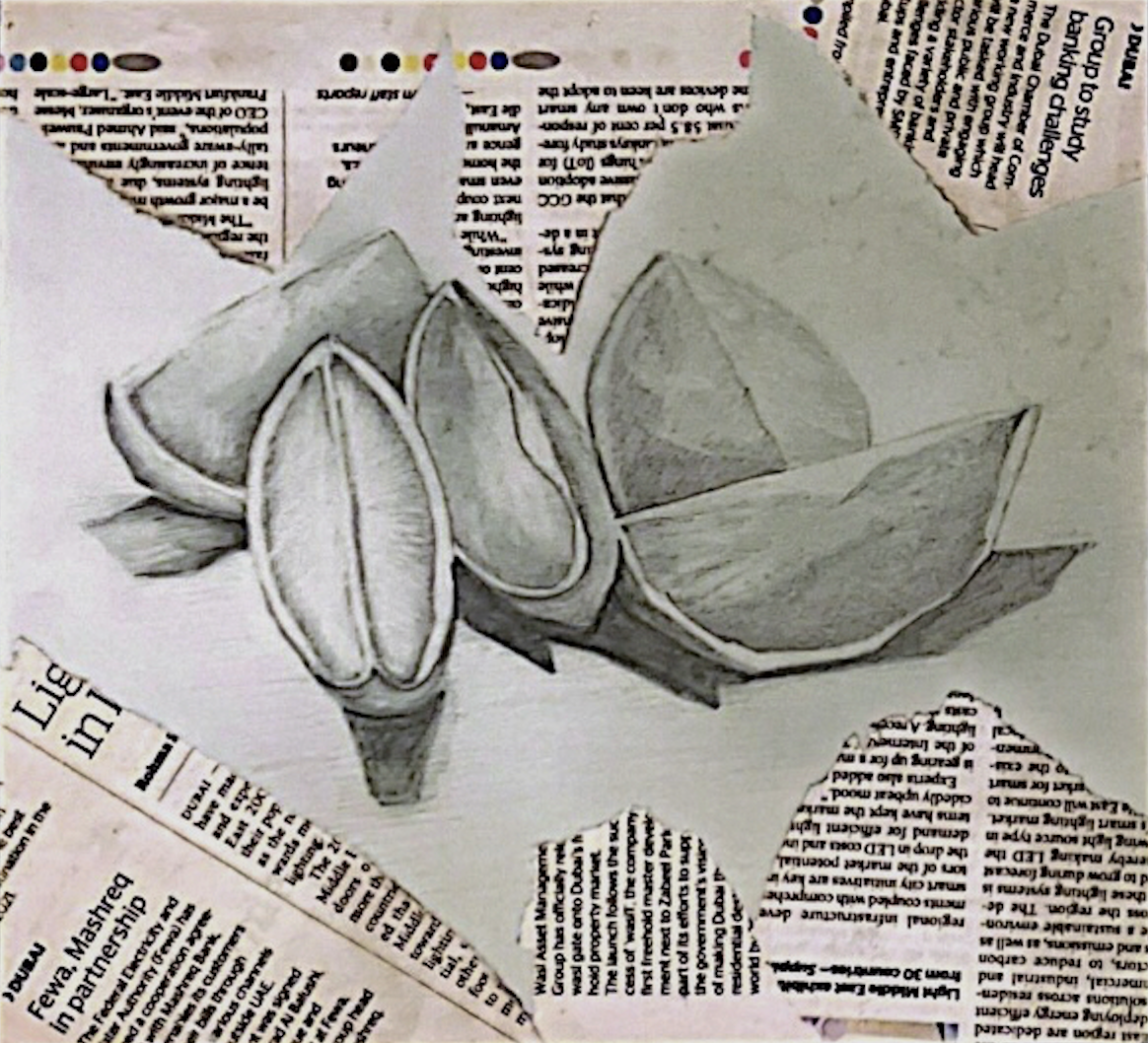 IGCSE Art